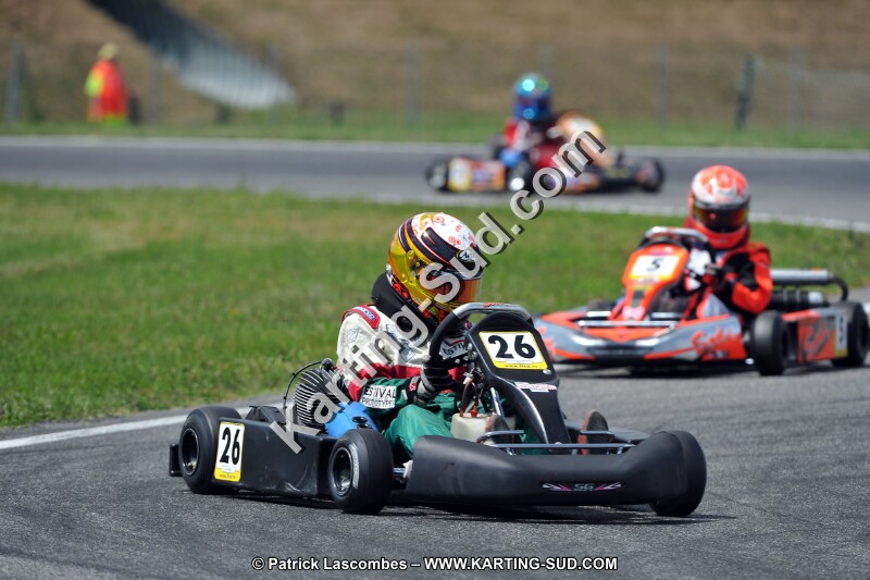 DSC_ (422).jpg